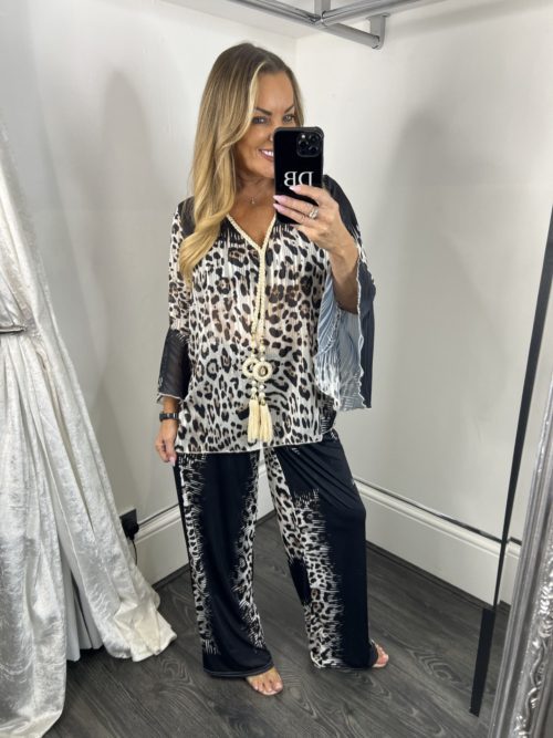 dark leoparde cgiffon sety